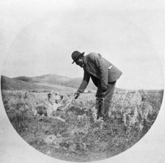 Man holding a dog's paw in a field