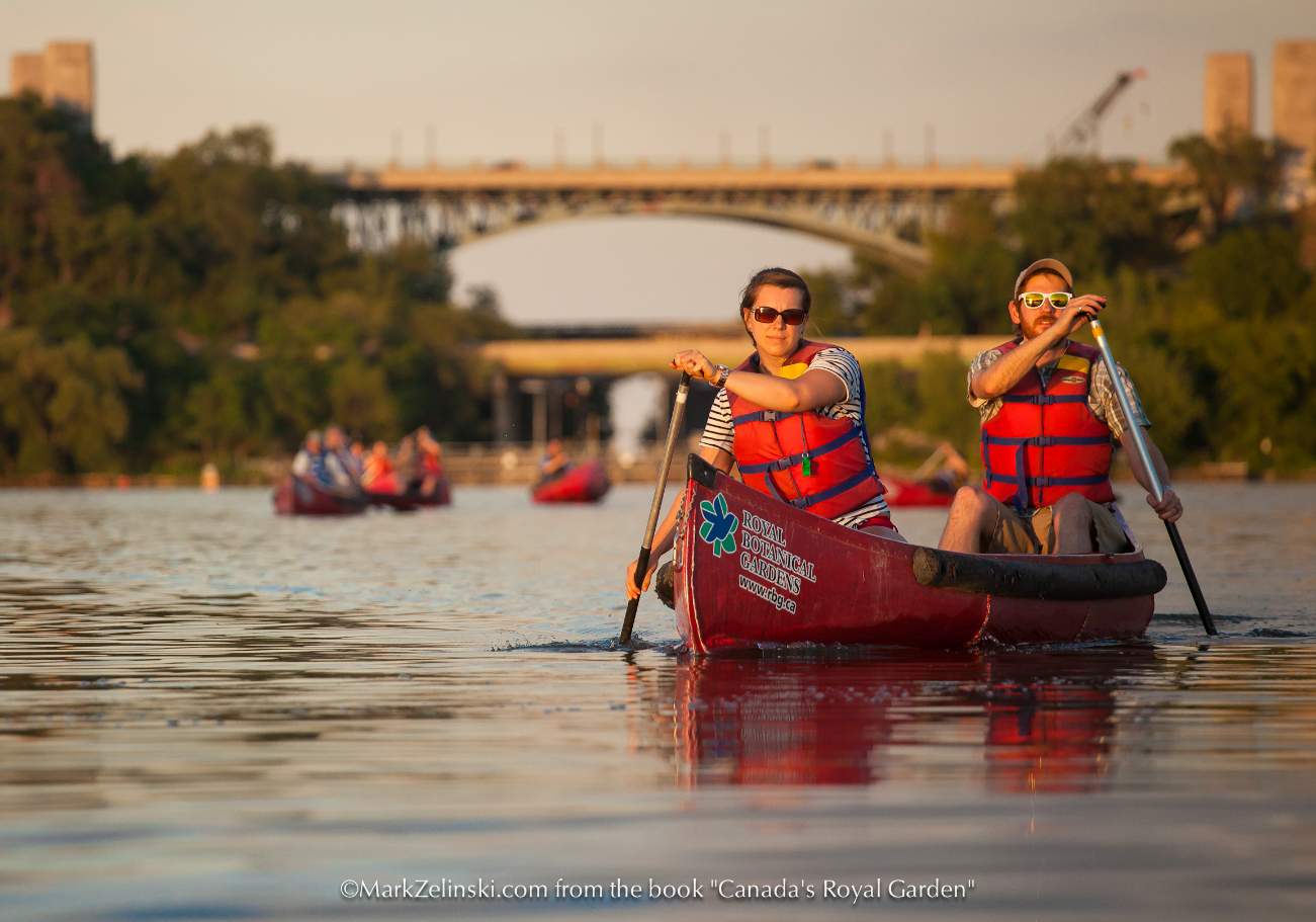 Image of two people canoeing on a lake