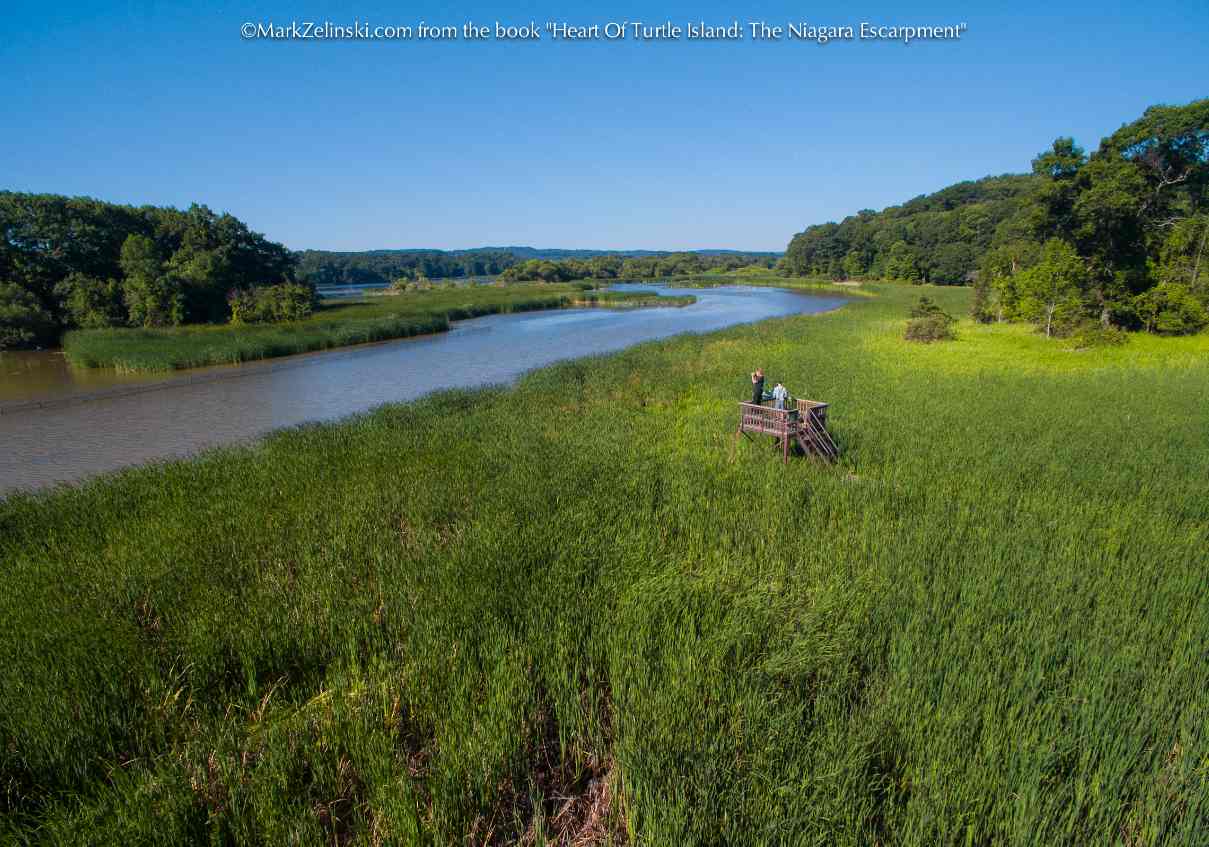 Image of a river surrounded by green grass