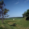 Landscape with grass and trees