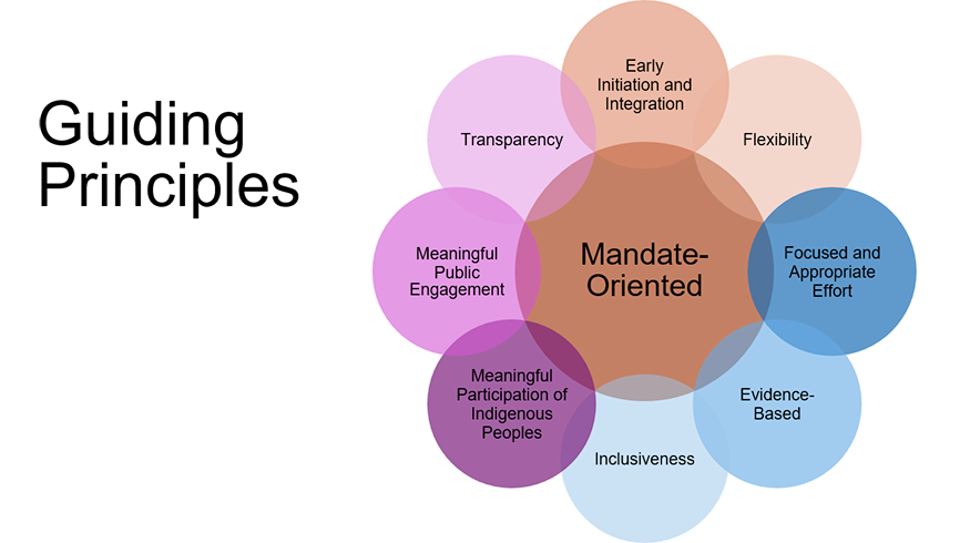 Representation of the guiding principles of impact assessment at Parks Canada. 