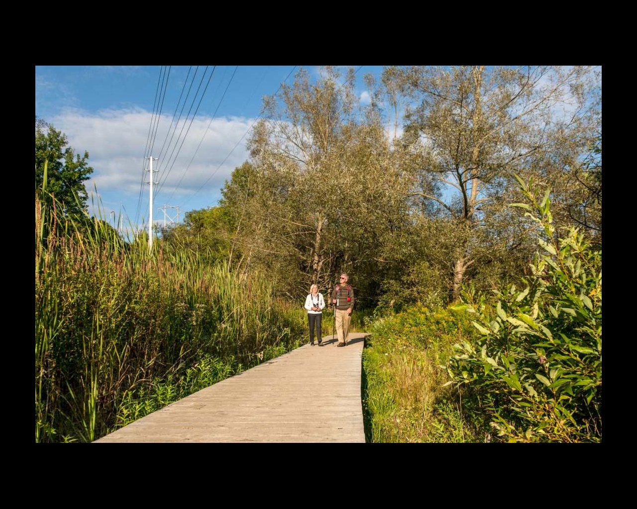 Two people walk on a wooden boardwalk in a forested area. A power line stretches above them.