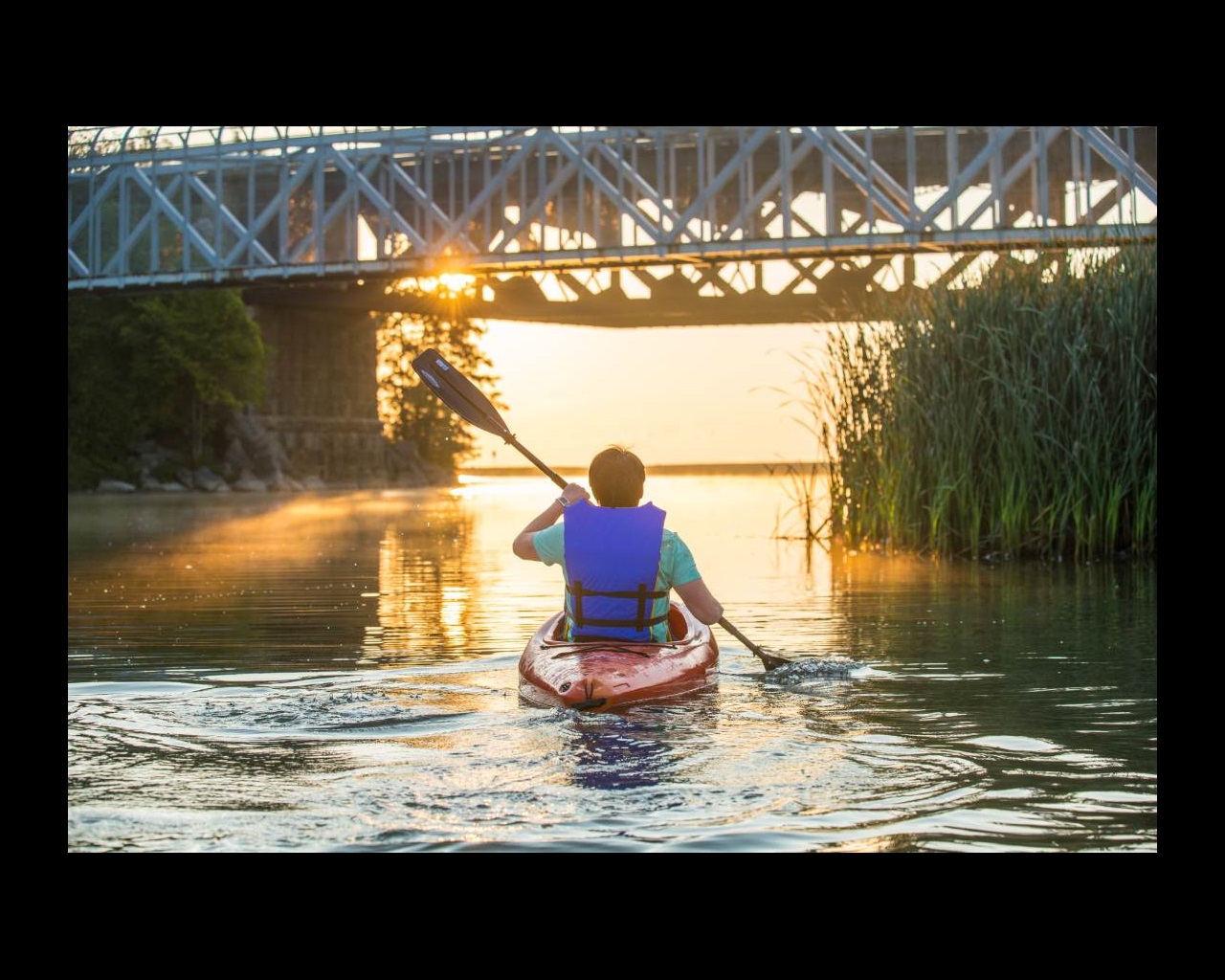 A person wearing a lifejacket sits on a kayak while paddling toward marsh grasses and a bridge overhead.