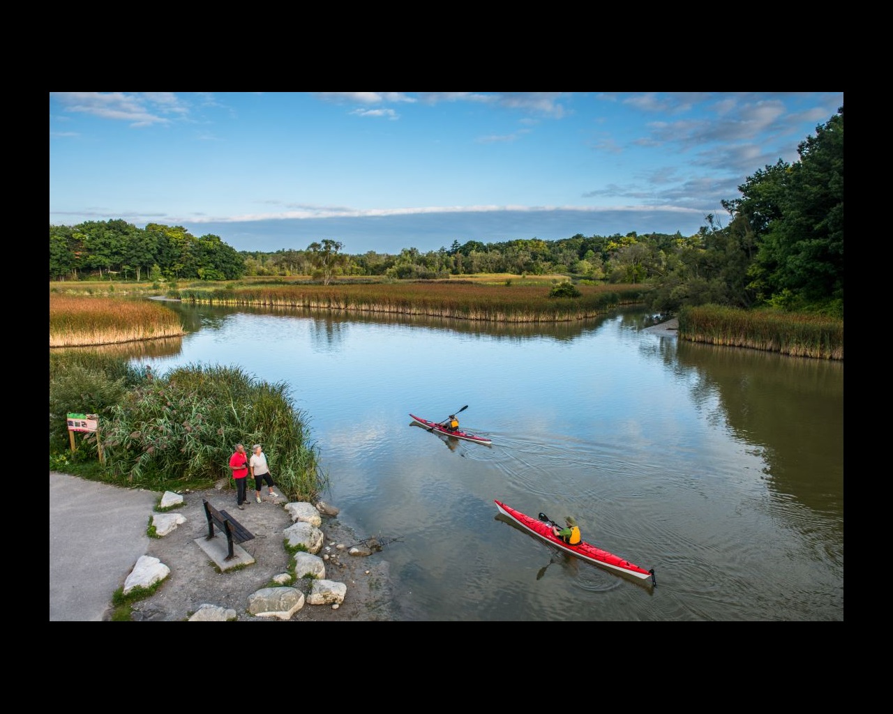 An aerial view of two people standing at the shore of an urban wetland watching two people in kayaks paddle by.