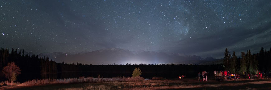 The Milky Way with treetops on horizon