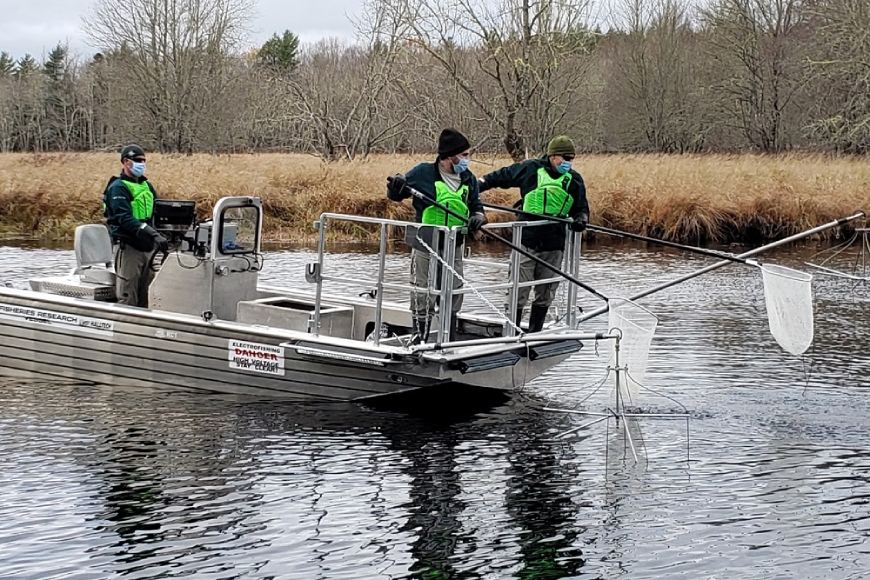 Two Parks Canada staff lean over a metal boat holding scoop nets, while another staff drives the boat.