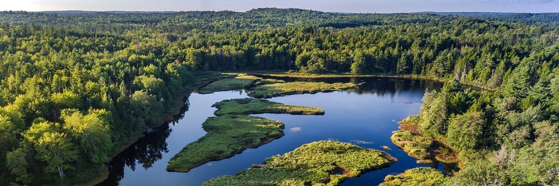 Aerial view of dense green forests around a blue lake with lush islands.