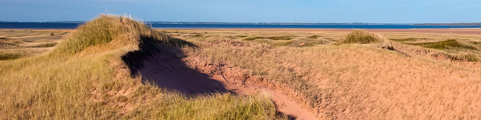 A view of grass dunes that form a peak on the left side of the image. Blue water can be seen on the horizon line. 