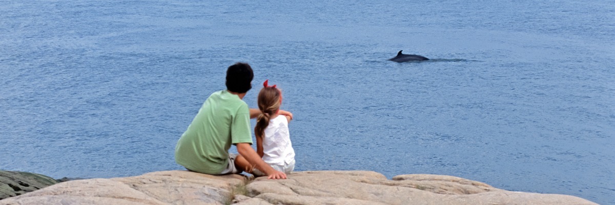 An adult and a child watching a whale from the shore.