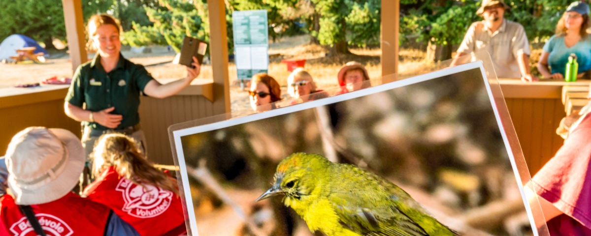 Participants gather at the campground beach shelter to hear a talk about Parks Canada's species at risk restoration projects.