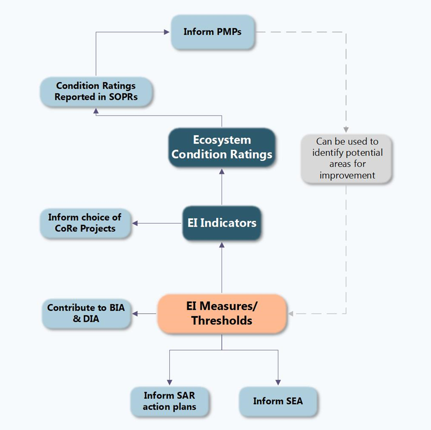 Figure 7: Flow of EIM decision-making