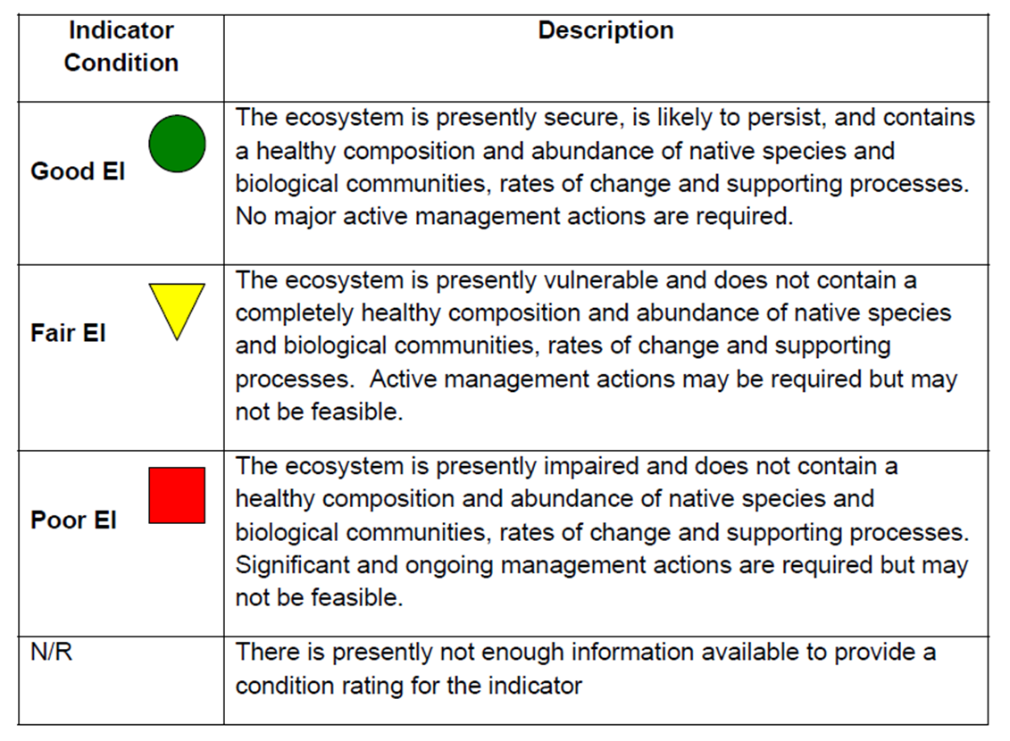 Annex 3: Indicator Condition Ratings