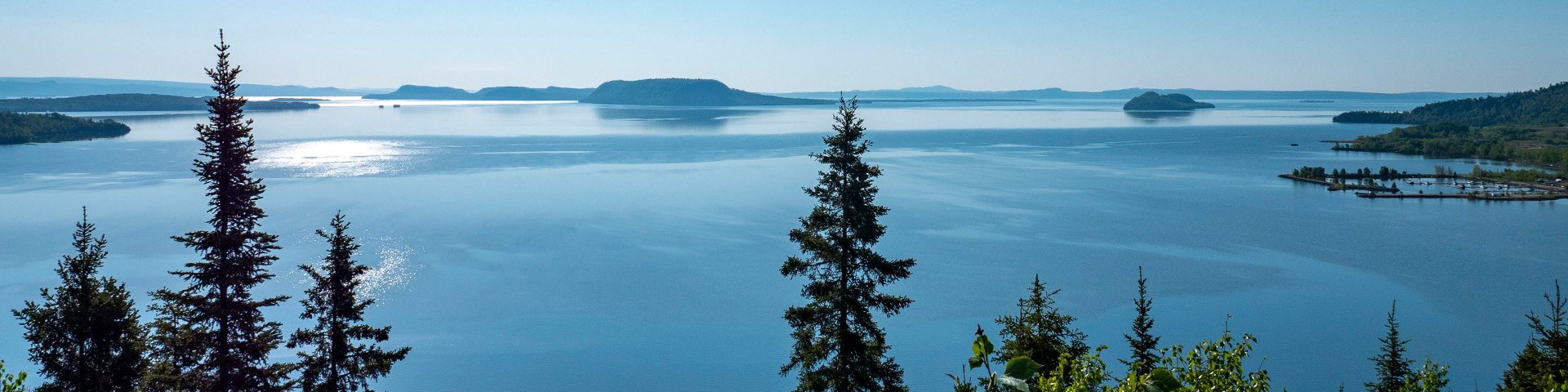 A view of a bay with trees.