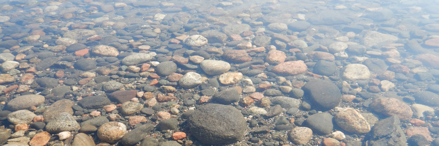 A rocky lakebed.