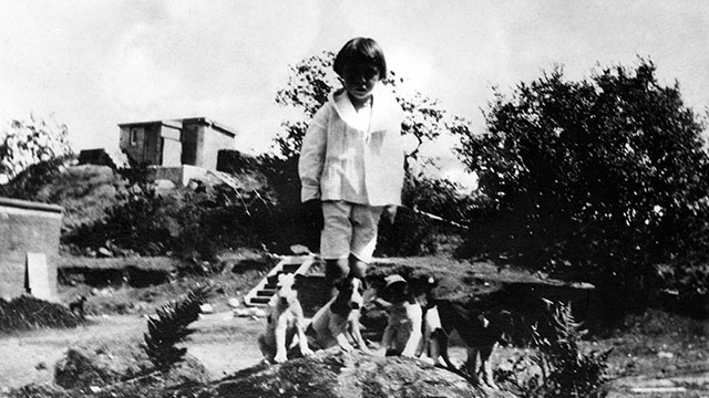 A child with a few puppies, circa 1916.