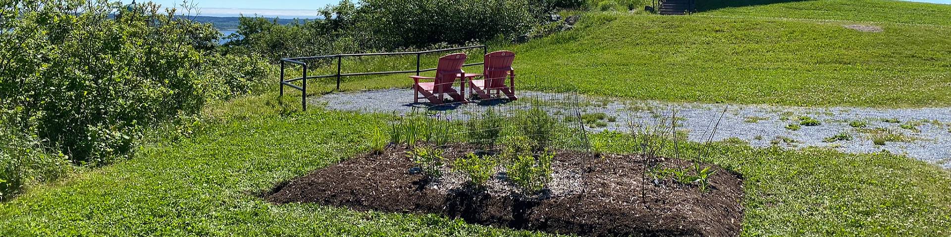 A pollinator garden