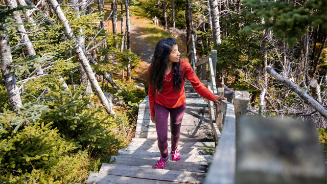 an individual in a red sweater climbing a set of wooden stairs in the forest