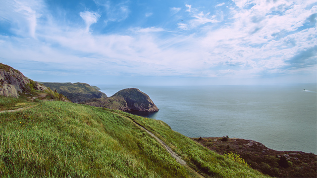 a grassy, coastal hill