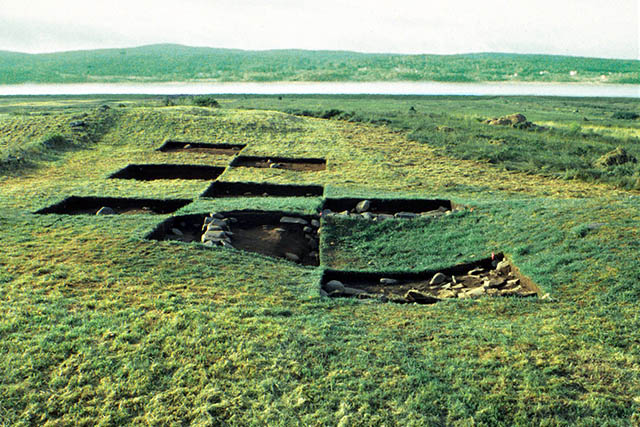 Excavation site