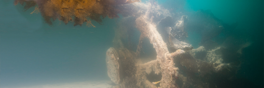 A ship's wheel, underwater.