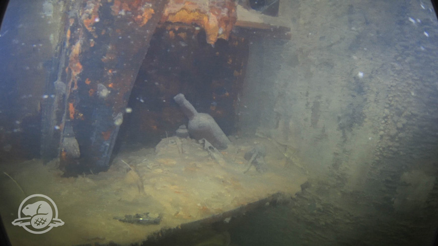 Bottles and other artifacts on a shelf