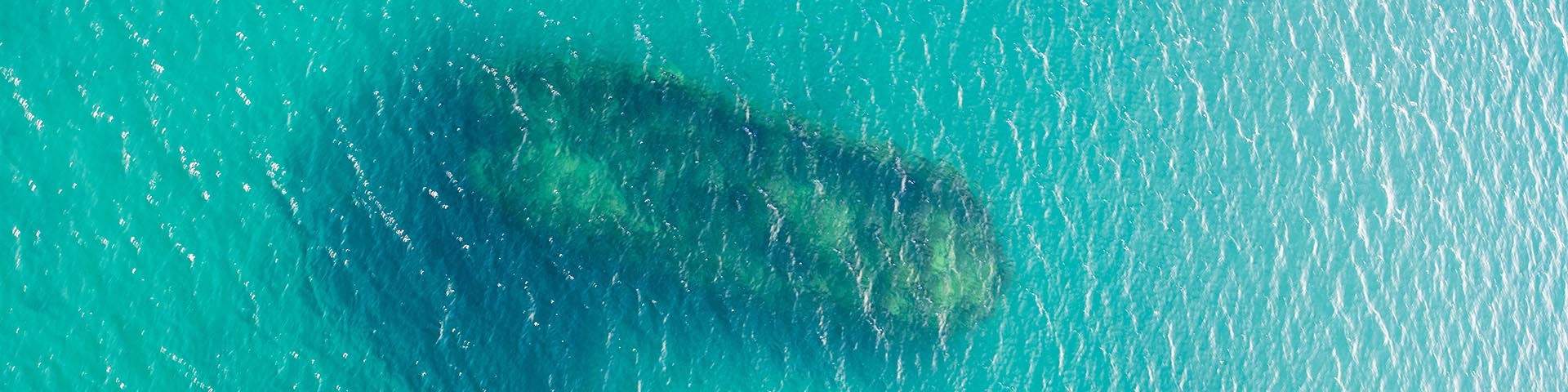 An aerial view of a shipwreck under water. 