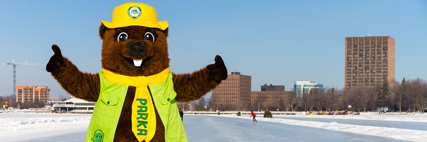 Parka patinant sur le canal Rideau