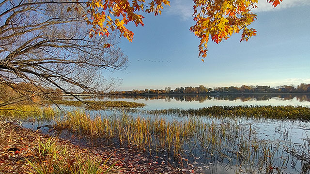 Sunny autumn landscape on the banks of a river