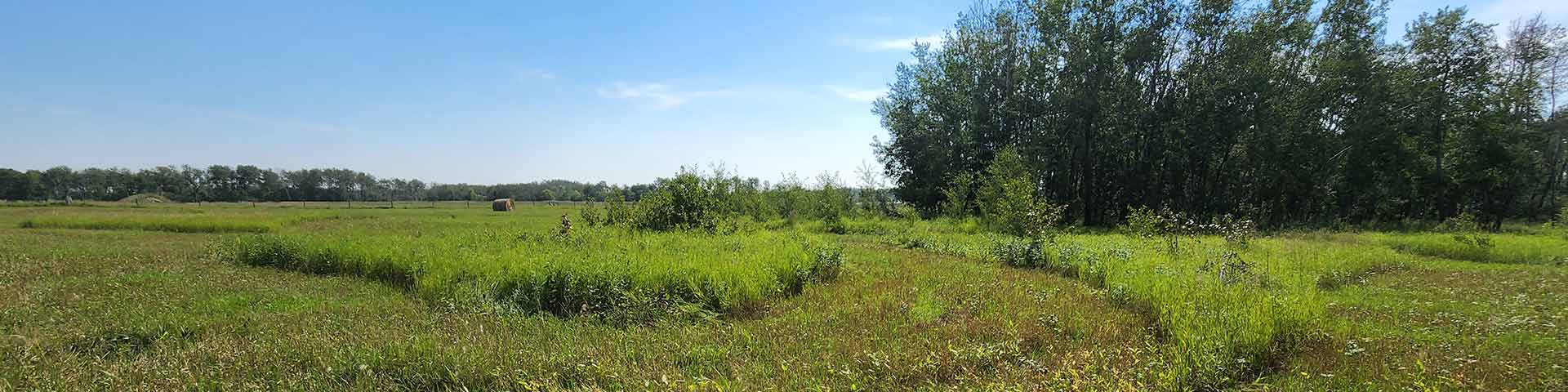 View of one of the pathways  at Fort Pelly