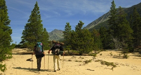 Hikers on the sand dunes near Bennett