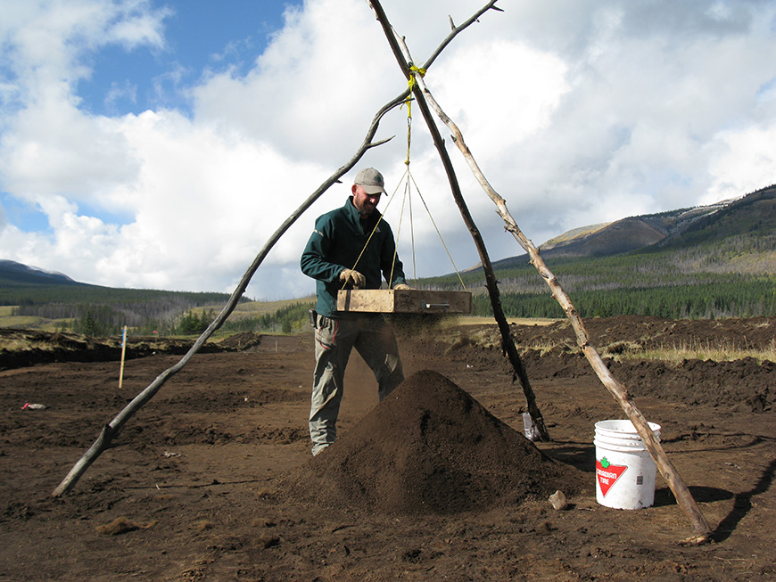 Parks Canada staff in the field 