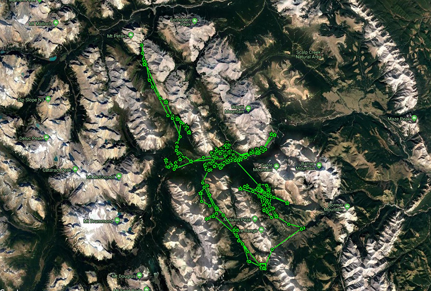 map of #18 bison movements 