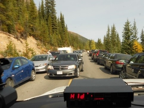 A Park Warden vehicle is trying to drive with cars parked on both sides of the roadway and another car coming towards it.