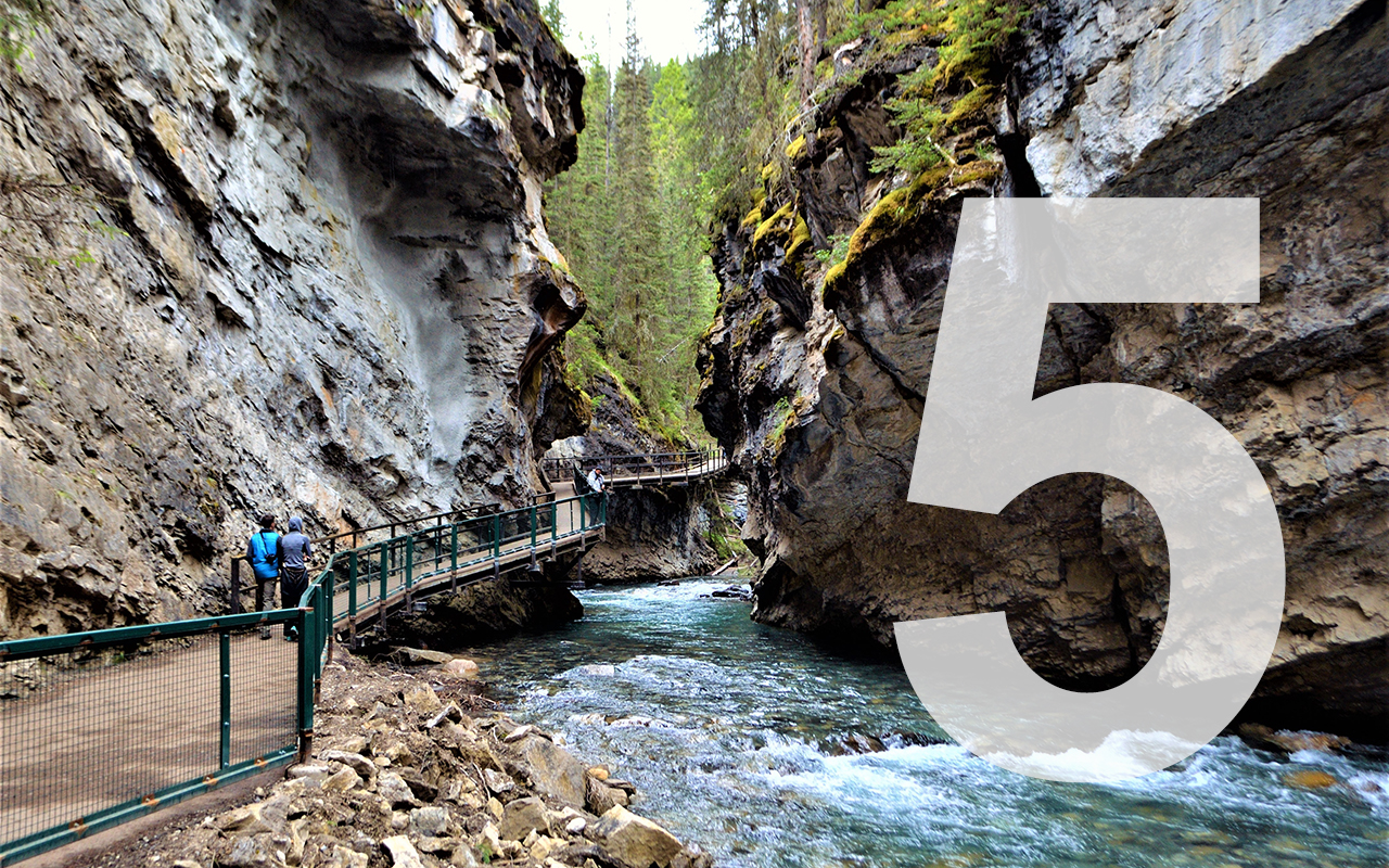 johnston canyon in summer 