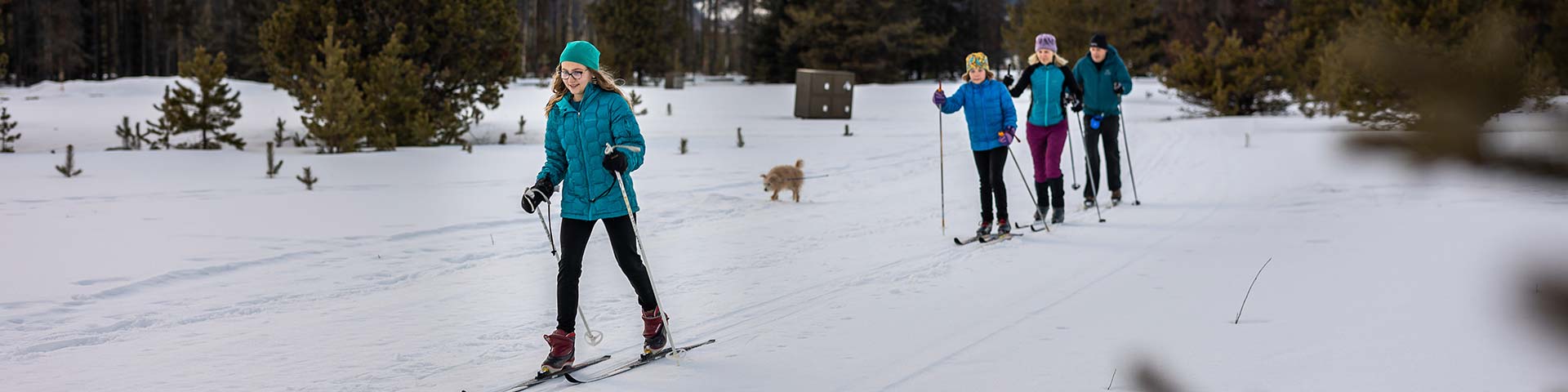 Ski de fond