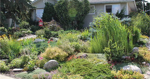 Landscaping in the Town of Jasper