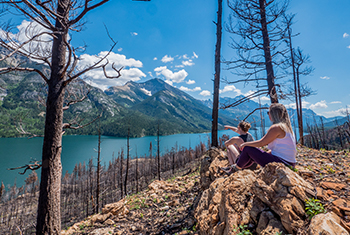 Burnt trees stand tall after the Kenow Wildfire.