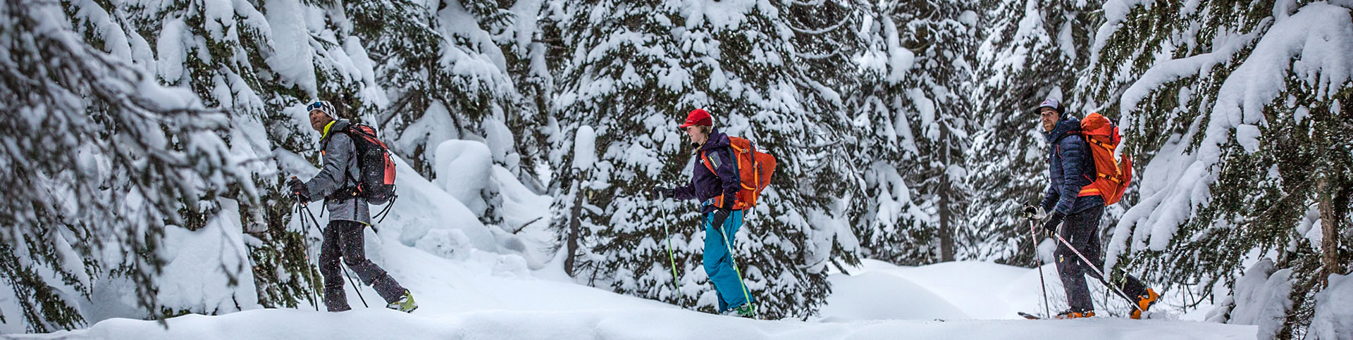  trois skieurs en randonnée dans les bois enneigés