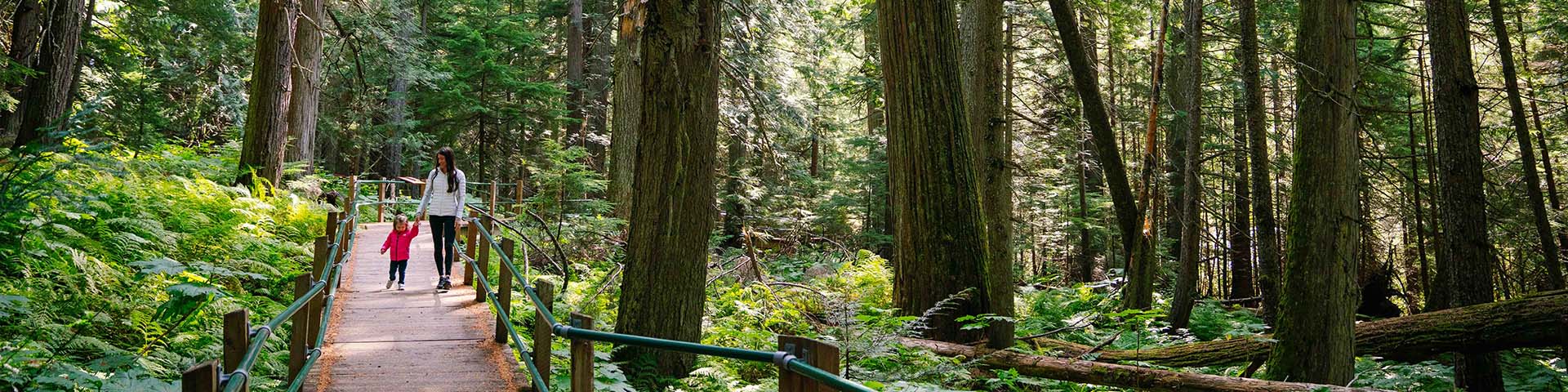 Mère et fille marchant sur une promenade dans les bois