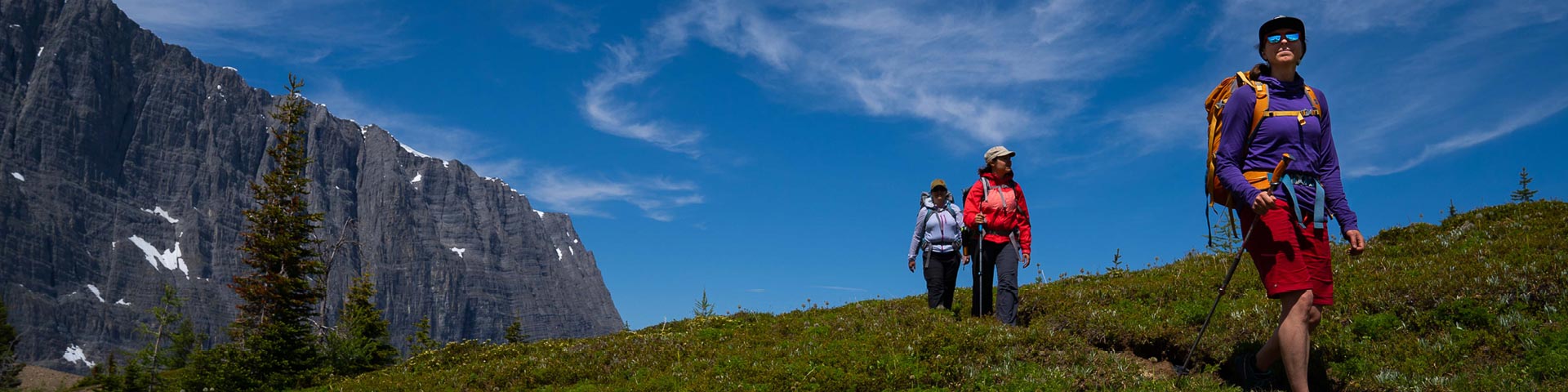 hikers walking through mountains