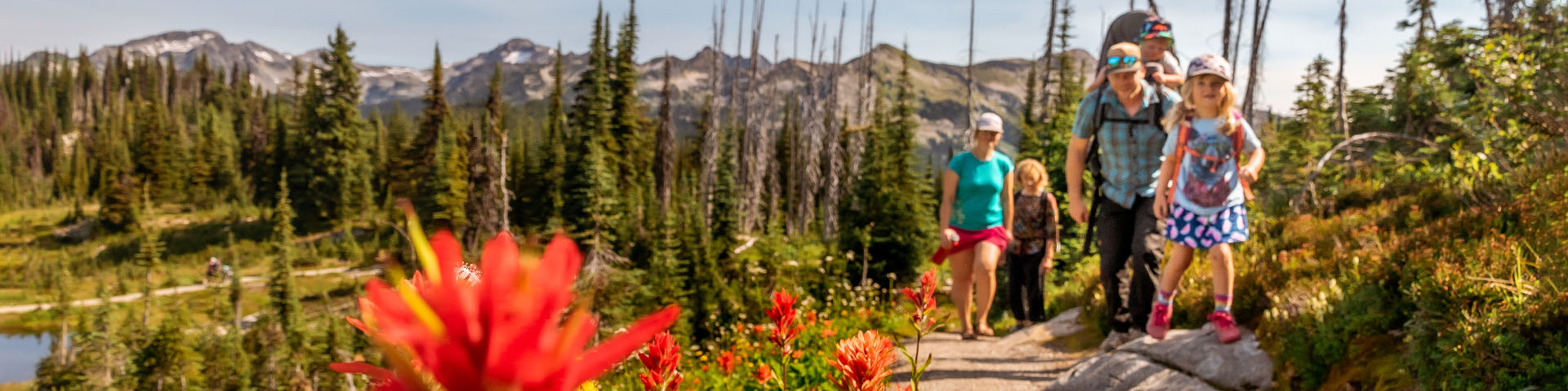 Family of 4 hiking near the alpine