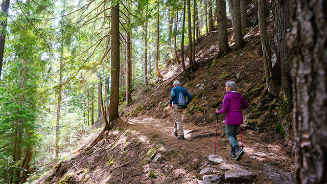 deux randonneurs sur un sentier dans les bois