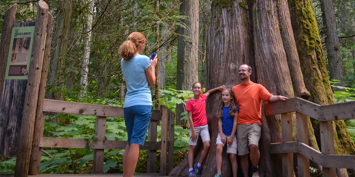 Giant Cedars Boardwalk in Mount Revelstoke National Park