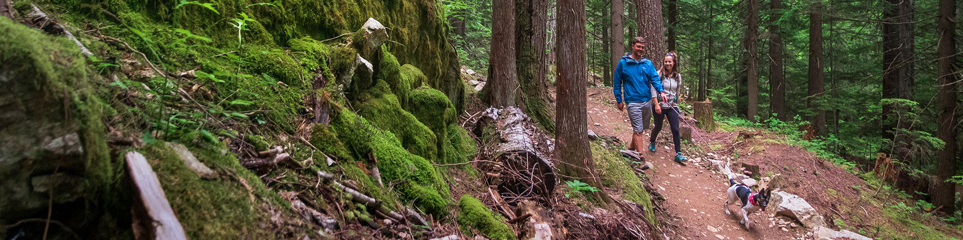 Couple walking dog on leash on the Soren Sorensen trails in Mount Revelstoke National Park