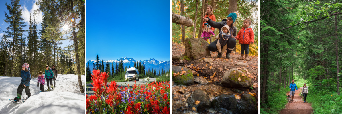 Graphic showing different seasons in Mount Revelstoke