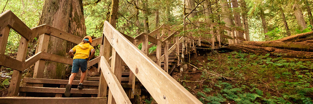 Child running up wooden stairs