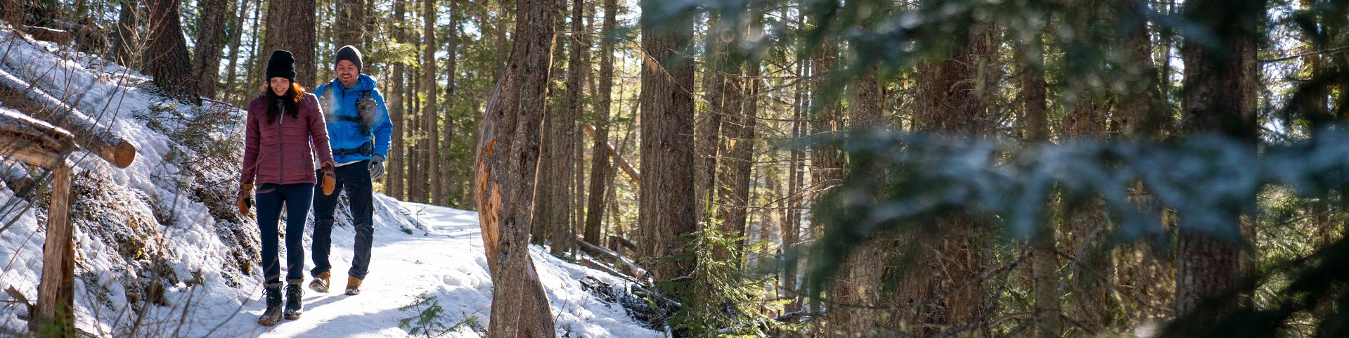 a couple walking in the woods