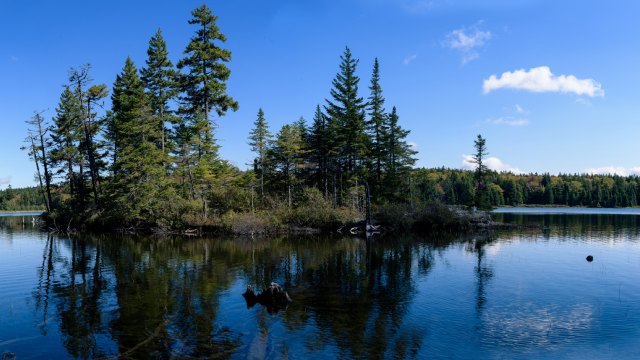 A view of the peacefully calm Wolfe Lake captured from a small trail that leaves from the Lakeview campground