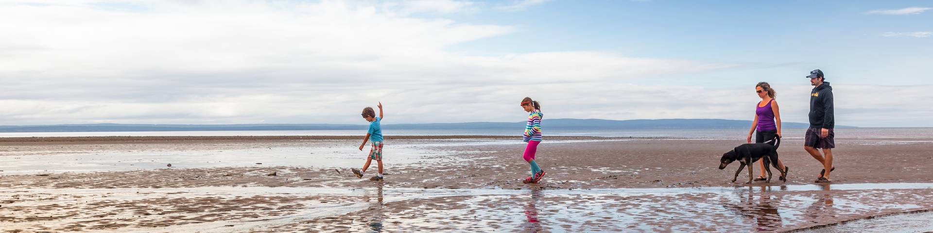 Two adults, two children and a dog walk along the beach