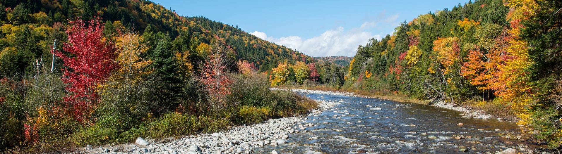 A river in the fall